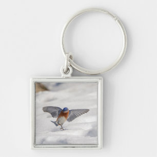 Llavero El Bluebird oriental bailando en la nieve