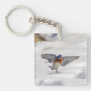 Llavero El Bluebird oriental bailando en la nieve