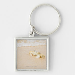 Llavero El Brasil, Río de Janeiro, Buzios, cangrejo