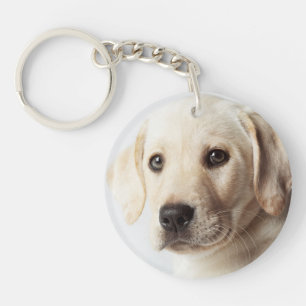 Llavero El cierre de la cachorro de Labrador dorado