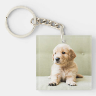 Llavero El colchón de la colección Golden Retriever