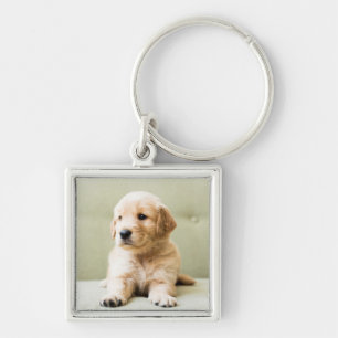 Llavero El colchón de la colección Golden Retriever