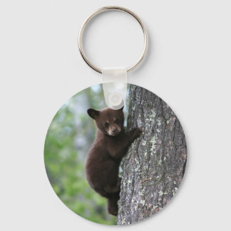 Llavero El cubo del oso sube un árbol