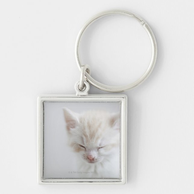 Llavero El dormir blanco del gatito (Frente)