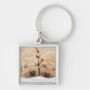 Llavero El dormir de dos perritos de Shar Pei