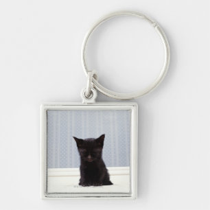 LLAVERO EL DORMIR NEGRO DEL GATITO