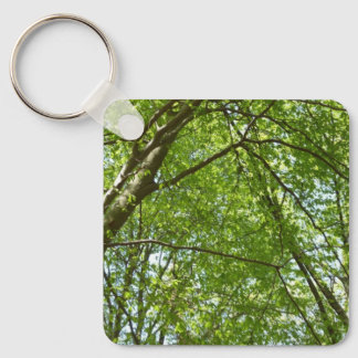 Llavero El dosel de la primavera deja la naturaleza verde