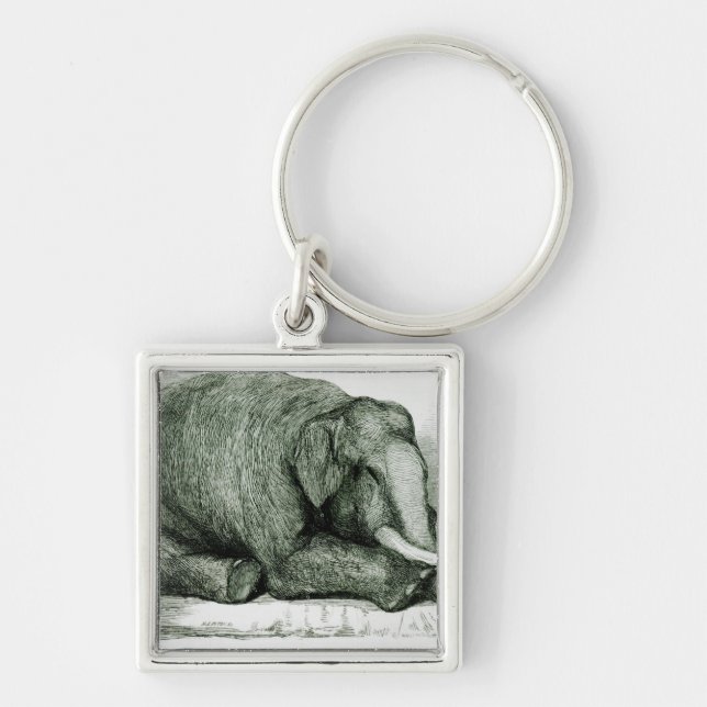 Llavero El elefante muerto (Frente)