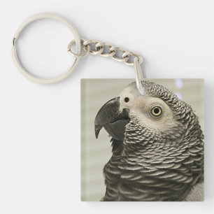 Llavero El encantador loro gris africano del Congo