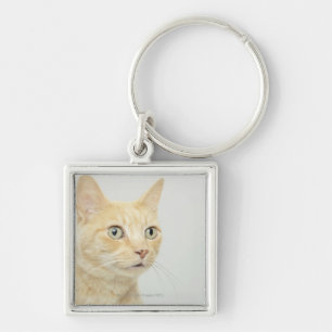 Llavero El gato con los ojos se abre de par en par