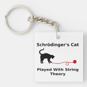 Llavero El gato de Schrödinger interpretado con teoría d