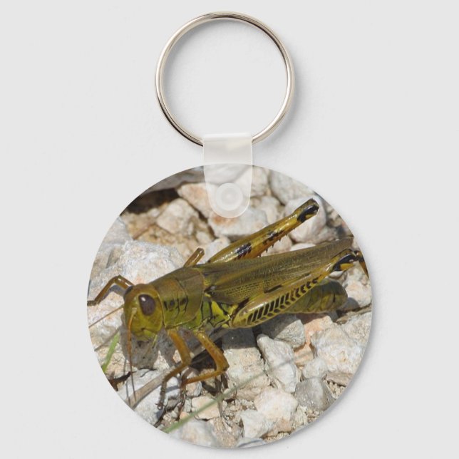 Llavero ¡el Gran Grasshopper! (Anverso)