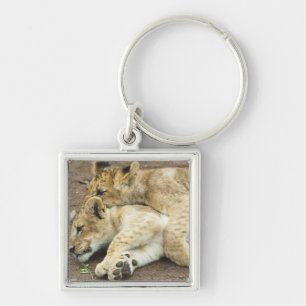 Llavero El jugar de dos cachorros de leones