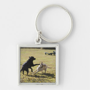 Llavero El jugar de los perros