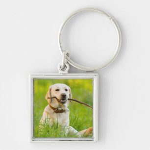 Llavero El Labrador Amarillo Juega A La Bota Con Palo