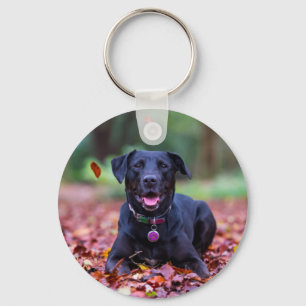 Llavero El Labrador Negro En Hojas Caídas