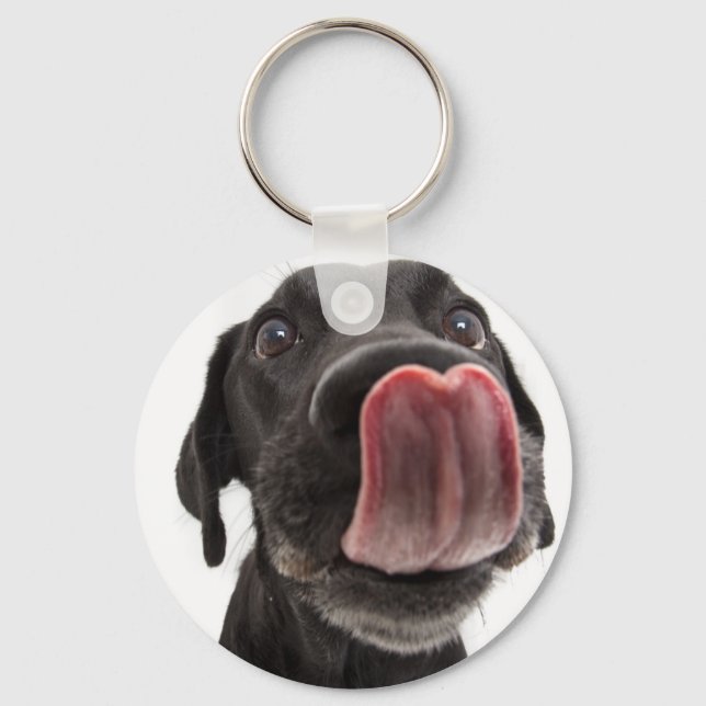Llavero El labrador negro se pega la nariz (Anverso)