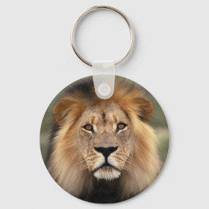 Llavero El león