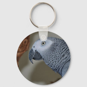 Llavero El loro gris africano del Congo