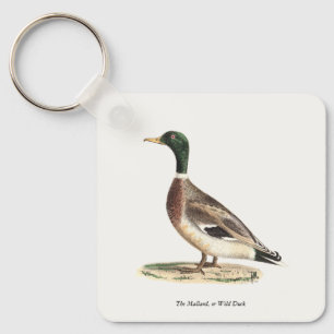 Llavero El mallard o el pato salvaje (Anas platyrhynchos)