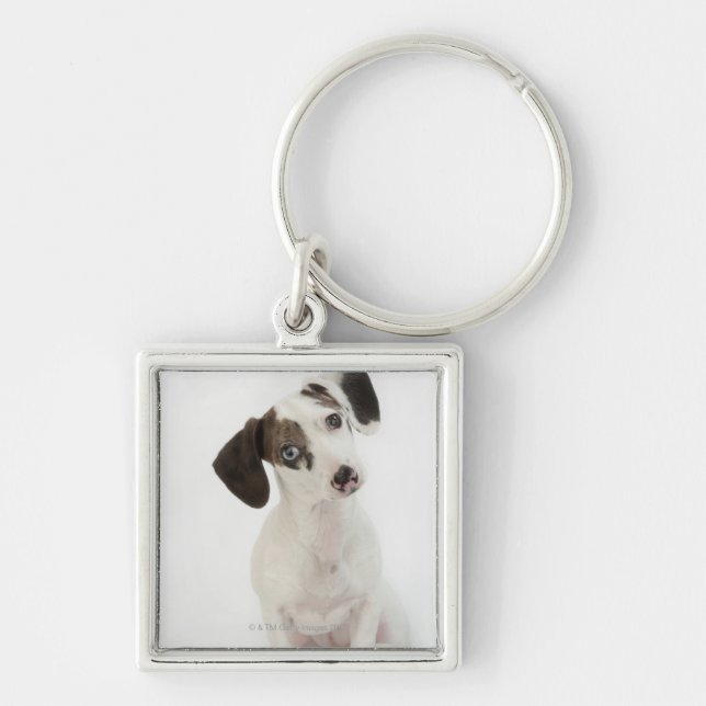 Llavero El mirar fijamente femenino del perrito del (Frente)