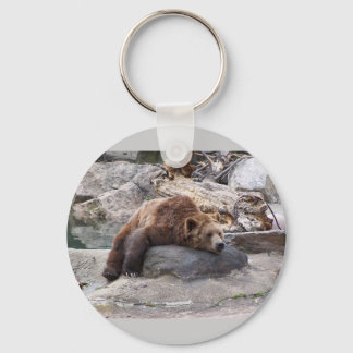 Llavero El Oso Grizzly Descansa En La Roca