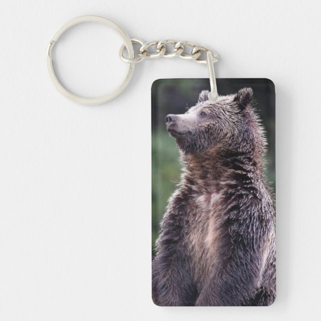 Llavero El oso pardo (Frente)