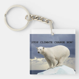 Llavero ¡El Oso Polar Detenga El Cambio Climático Ahora!