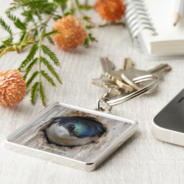 Llavero El pájaro del Tragar del Árbol asombroso en Nestbo (Lado)