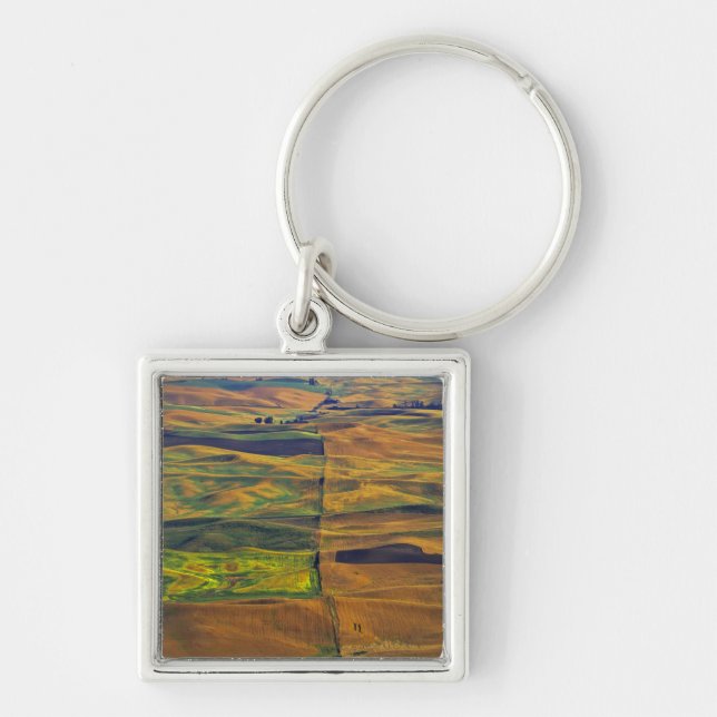 Llavero El Palouse desde Steptoe Butte, Colfax, (Frente)