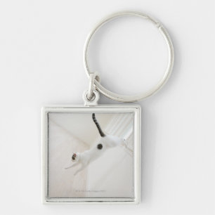 Llavero El salto del gato