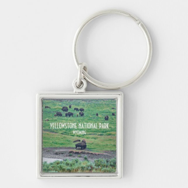 Llavero El veneno estadounidense (Frente)