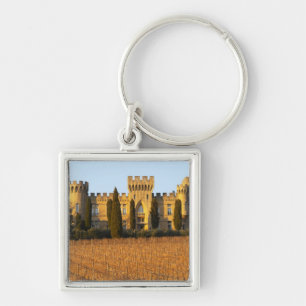 Llavero El viñedo con las vides del syrah y el castillo