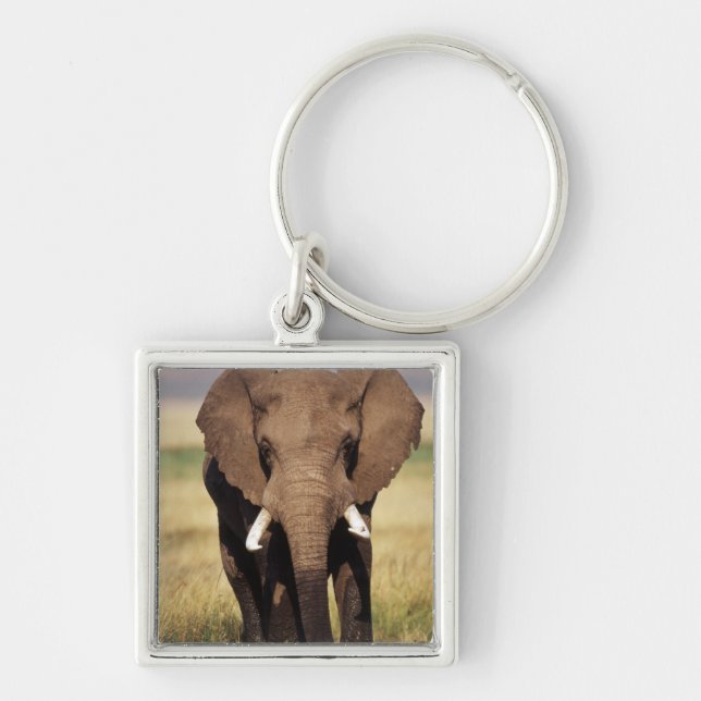 Llavero Elefante africano de sabana (Frente)