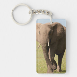 Llavero Elefante africano (Loxodonta Africana), Maasai