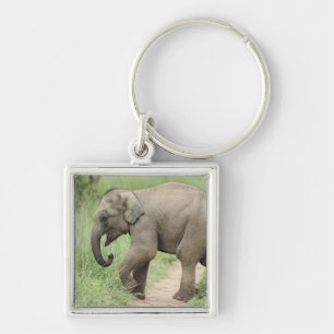 Llavero Elefante bebé siguiendo a la madre, Corbett