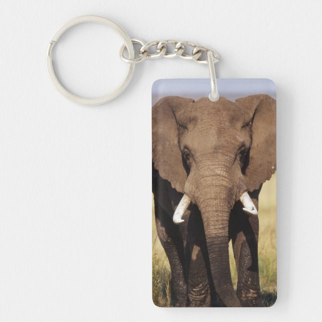 Llavero Elefante de Bush africano (Frente)