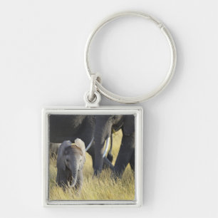 Llavero Elefante del bebé