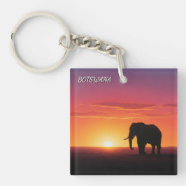 Llavero Elefante en Botsuana por el atardecer