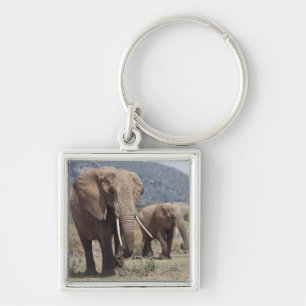 Llavero Elefante madre caminando con cría de elefante