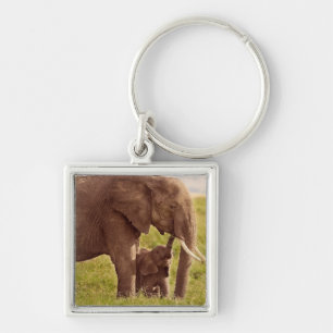 Llavero Elefante y bebé de las imágenes el   de Getty