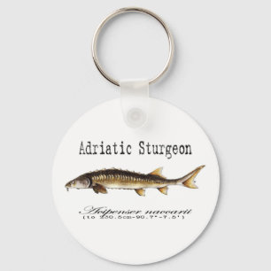 Llavero Elemento Adriático Sturgeon