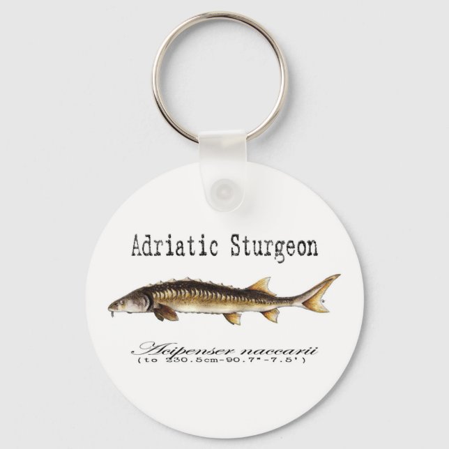 Llavero Elemento Adriático Sturgeon (Anverso)