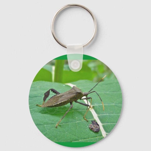 Llavero Elementos de Bug de pie de página (fenorata de Aca (Anverso)