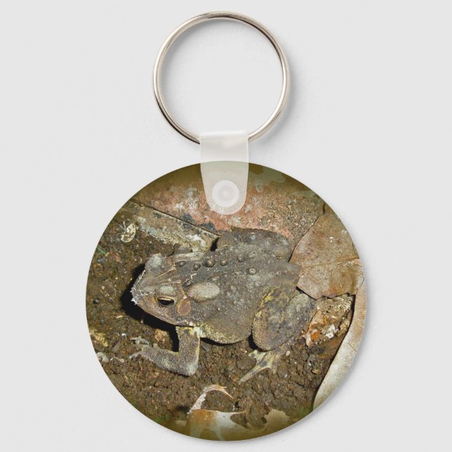 Llavero Elementos de coordenadas comunes de la barra (Anverso)