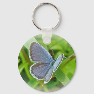 Llavero Elementos de coordinación de mariposa azul en la c