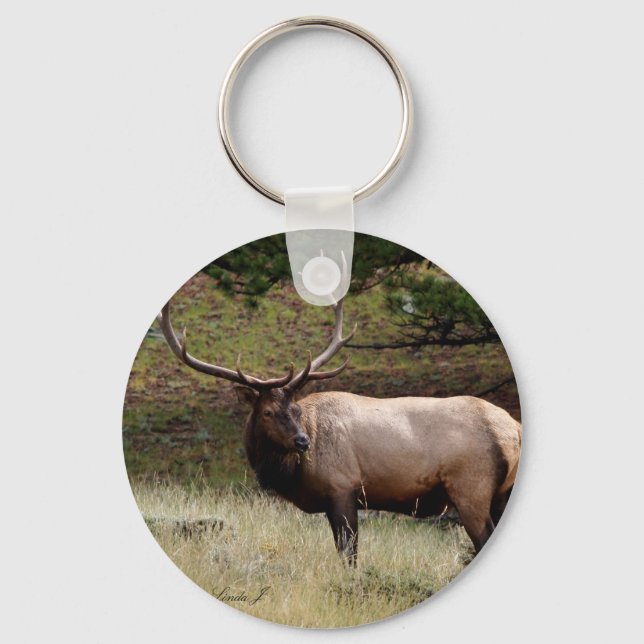 Llavero Elk in the Wild (Anverso)