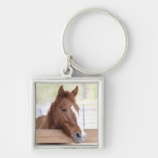 Llavero Ember - Keychain