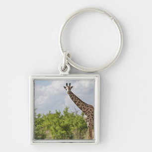 Llavero En safari en Tanzania, África. 2