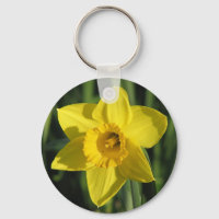 Encantador Daffodil